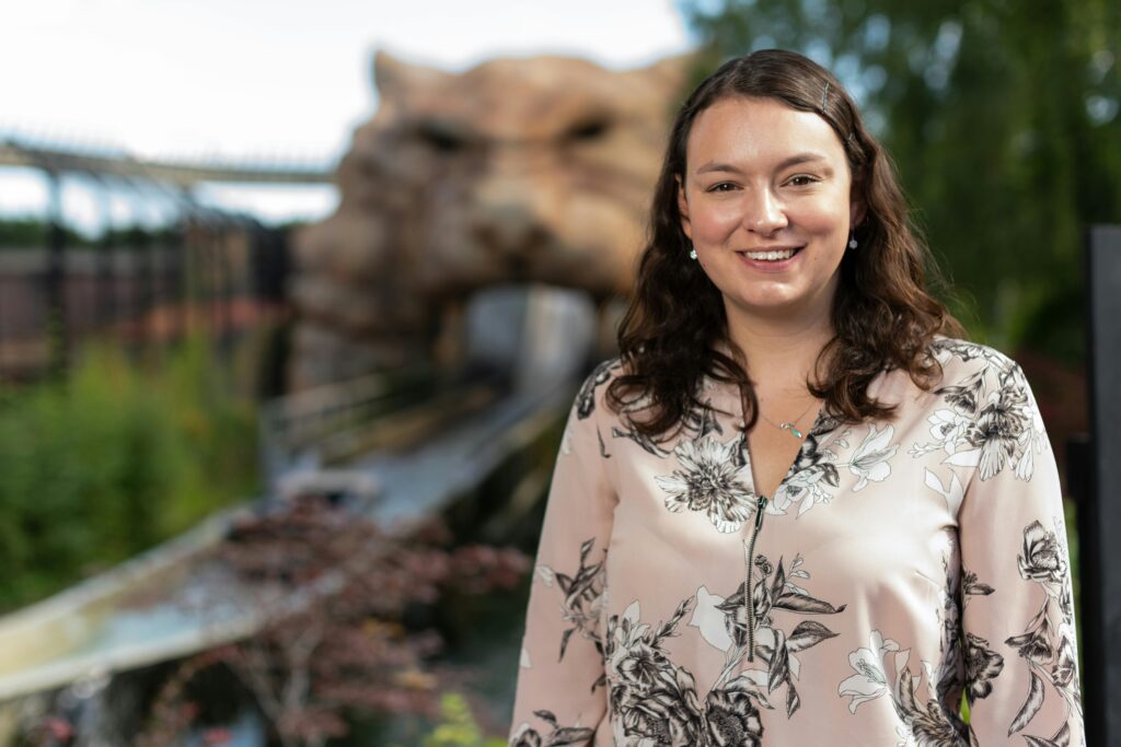 Korean Style Earrings